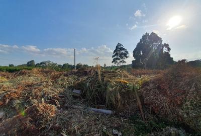 1.25 ac Land in Nyari - 3