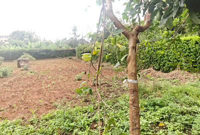 0.5 ac Land in Thome - 2