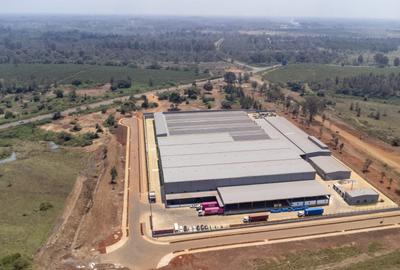 Commercial Land in Tatu City