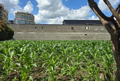 0.5 ac Land at Ruiru