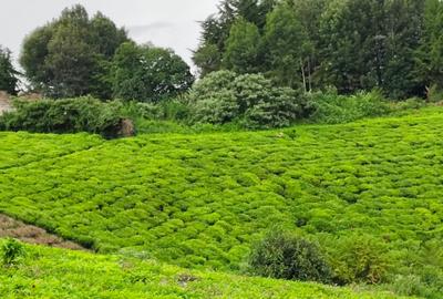 Land at Githiga Road