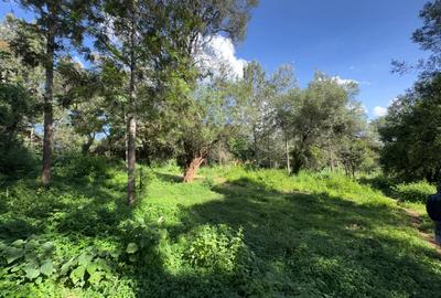 0.5 ac Land in Lake View