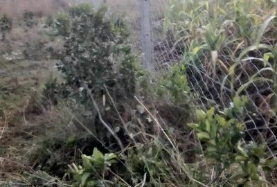 10,000 ft² Land at Marura-Nturukuma - 3