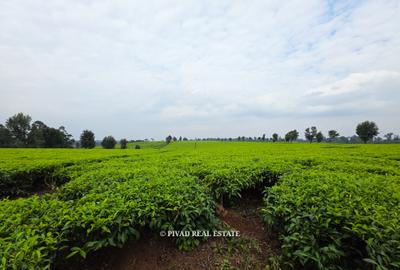 995 ac Land in Tigoni