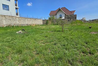 0.125 ac Residential Land at 2Nd Avenue - 3