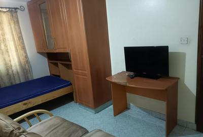 Studio Apartment with Borehole in Lavington - 2