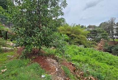 Residential Land in Kitisuru - 3