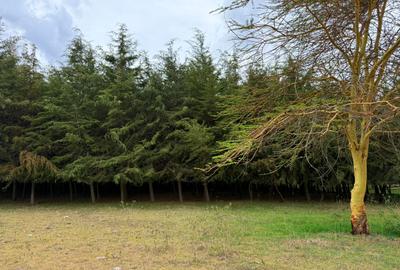 19 ac Land in Narok - 4