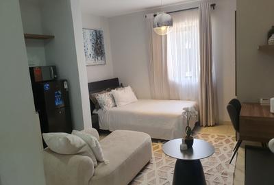 Studio Apartment with Swimming Pool at Naivasha Road