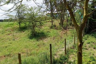 0.005 ac Residential Land at Kedong Ranch