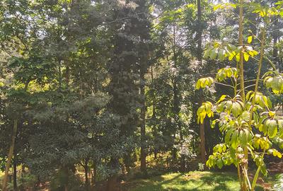 Residential Land at Kyuna - 3