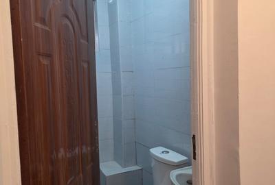 Serviced 1 Bed Apartment with En Suite in Ngong - 2