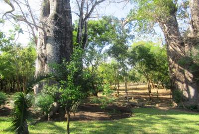 Land at Off Diani Beach Rd