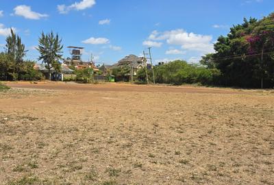 0.25 ac Land at Kamakis - 4