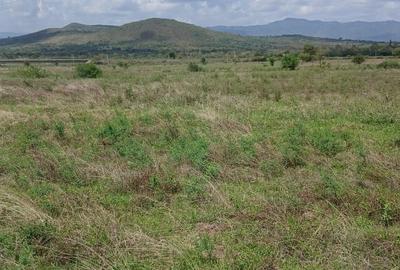 Land at Sultan Hamud