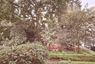 Land in Spring Valley - 3