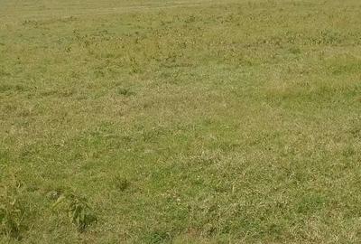 Residential Land in Nanyuki