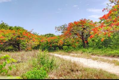 167.5 ac Land at Vipingo