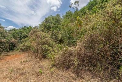 1 ac Land at Miotoni - 2