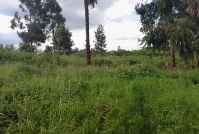 Residential Land in Kiambu Road