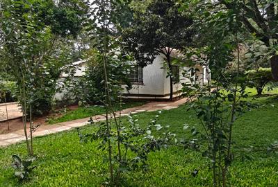 3 Bed House with Staff Quarters in Karen