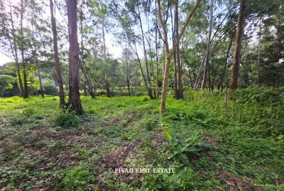 0.5 ac Land in Lake View