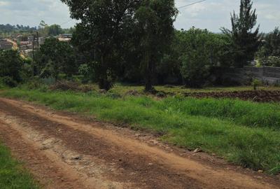 0.5 ac Land in Thome - 4