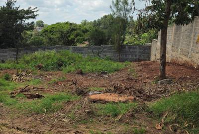 0.5 ac Land in Thome - 3