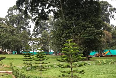 1 Bed Apartment with Swimming Pool in Riruta - 2