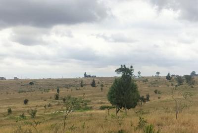 0.125 ac Land at Tuala -Nazarene University