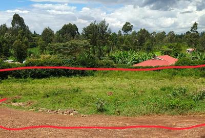 0.25 ac Land in Muchatha