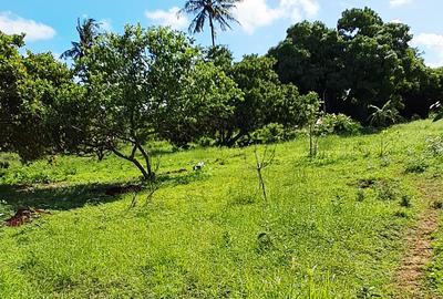 Land at Vipingo - 3