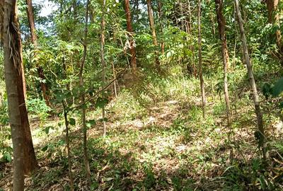 1.0 ac Land at Chuka-Meru Rd.