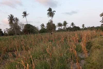 12 ac Commercial Land at Bomani Area - 3