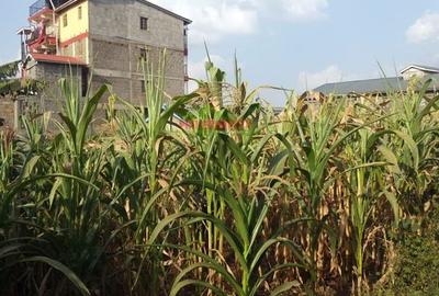 500 m² Commercial Land in Kikuyu Town - 4