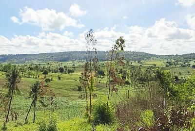 Land at Vipingo - 2