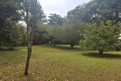 Land at Off Ridgeways/Kiambu Rd - 2