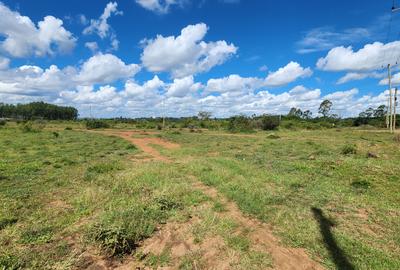 0.5 ac Land at Masai Lodge