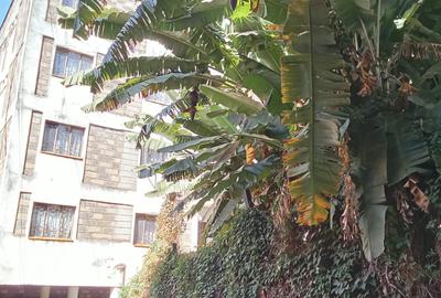 3 Bed Apartment with En Suite in Westlands Area