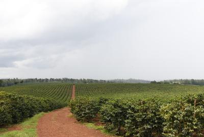 0.125 ac Residential Land in Juja - 3