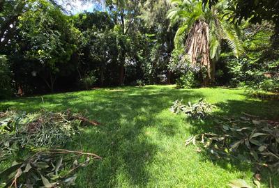 4 Bed House with En Suite in Rosslyn - 3