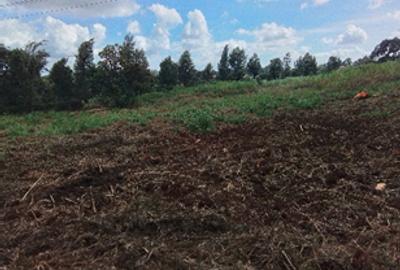 Land in Kikuyu Town - 2