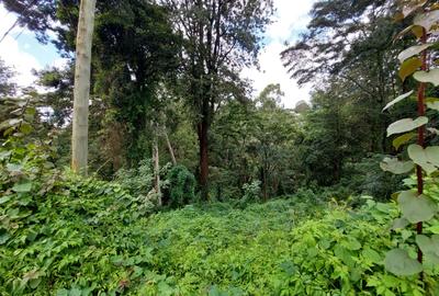 0.5 ac Land in Kitisuru