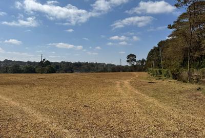 Land at Ressurection