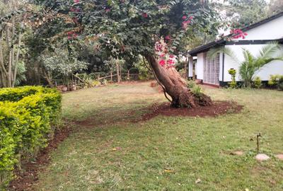 4 Bed House with En Suite in Loresho - 2