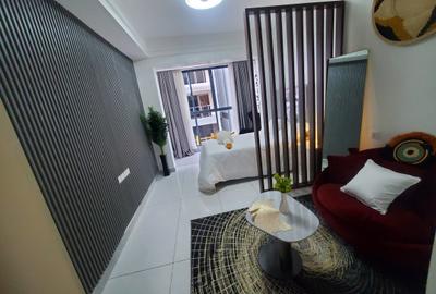 Studio Apartment with En Suite at Syokimau - 2