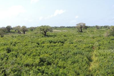 1,012 m² Residential Land at Diani Beach Road