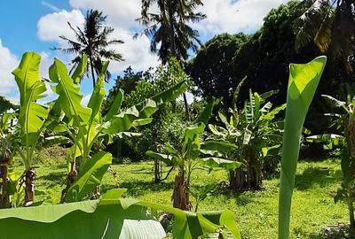 Land at Kikambala Bomani - 4