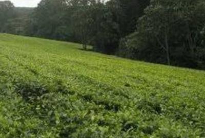 155 ac Commercial Land at Limuru