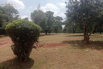 3 ac Land in Karen